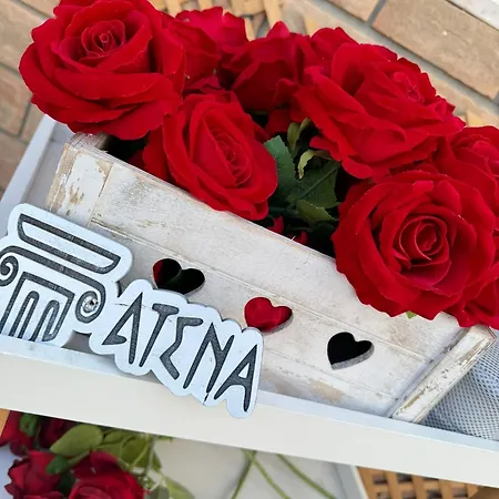 Atena Platino